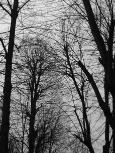 n+1 Gianluca Garrapa