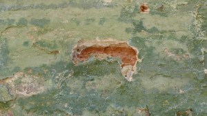 fuori macerata - foto di gianni montieri