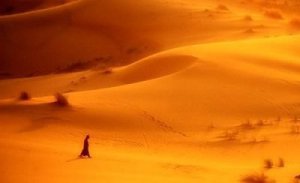 Non potendo cantare il mondo che lo escluse, Reb Stein cominciò a leggerlo nel canto. - nacque così "La dimora del tempo sospeso"