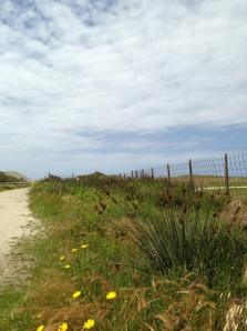 Castelvolturno foto di Marco Aragno