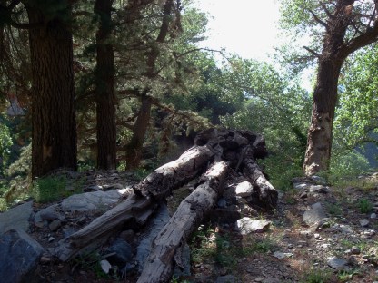 Cronaca del viaggio in una terra sconosciuta tra immagini e parole