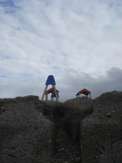Cronaca del viaggio in una terra sconosciuta tra immagini e parole