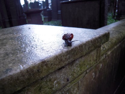 Cronaca del viaggio in una terra sconosciuta tra immagini e parole