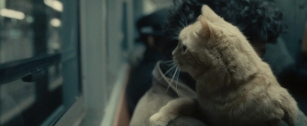 catdavis - foto da static eyenetwork