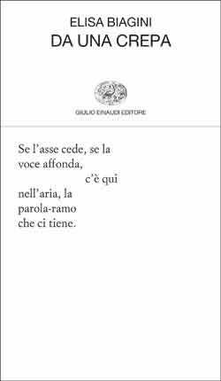 Elisa Biagini, Da una crepa (Einaudi, 2014)