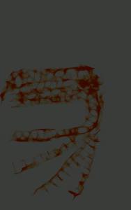 Opera visiva dell'autore tratta da "Modelli di bocche" realizzata con pennino su supporto digitale.