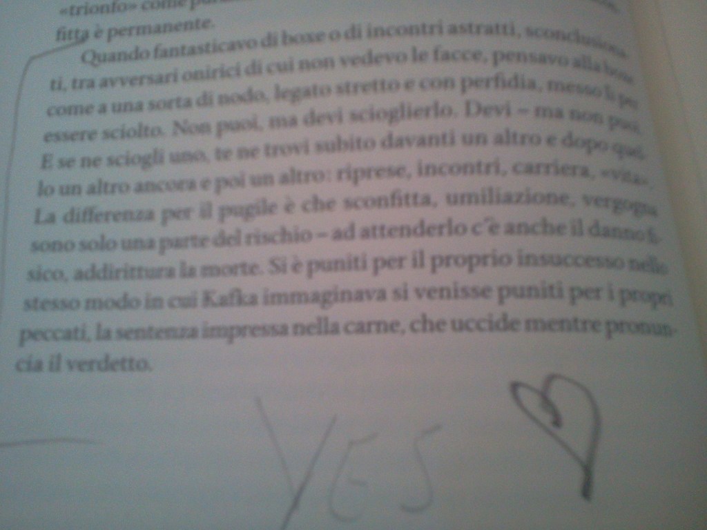 Joyce Carol Oates - Sulla boxe