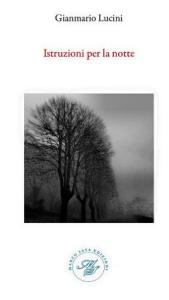 Lucini_Istruzioni_per_la_notte_klein