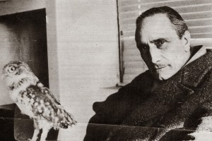 landolfi con uccello