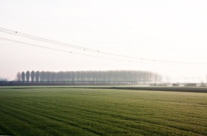 immagine presa dalla rete . potrebbe essere soggetta a copyright