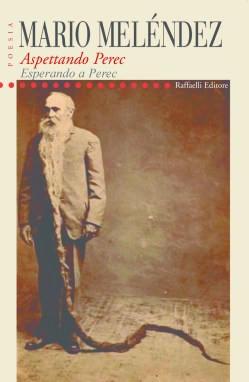 copertina aspettando perec