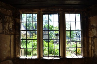 copyright Sharon Odegaard