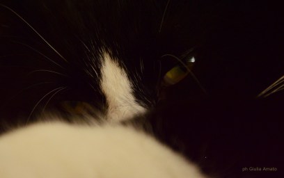 Fotografia di Giulia Amato