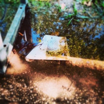 lost_words foto di Davide Valecchi