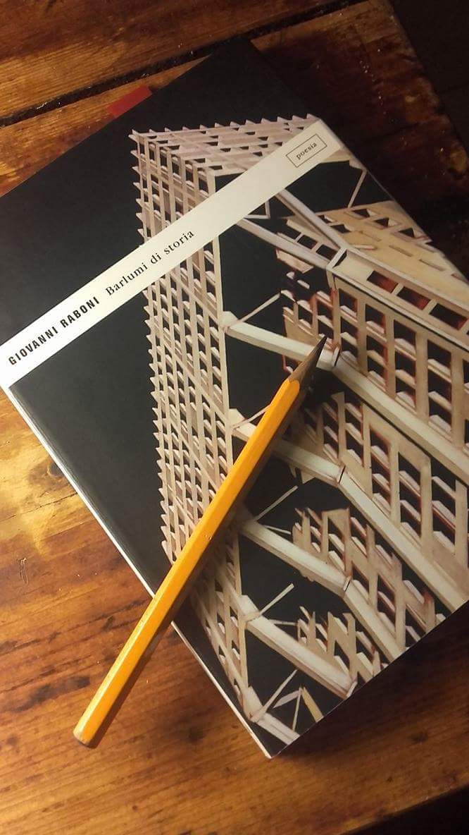 Una frase lunga un libro #84: Giovanni Raboni, Barlumi di storia ...