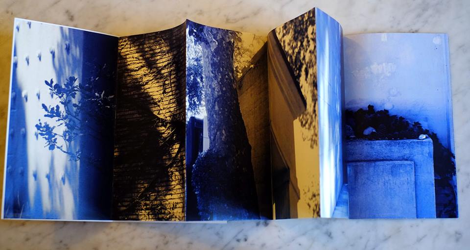 15870908_10210690747297579_814406879_n