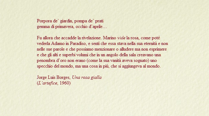 bustina chiara - Borges