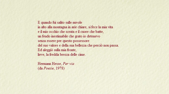 bustina chiara - Hesse