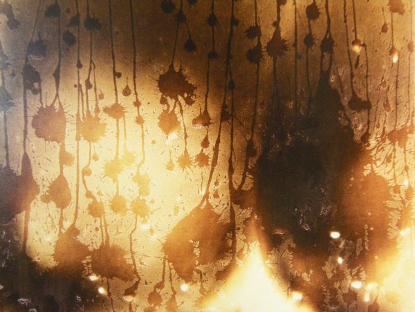 Il tempo si consuma, lo spazio si rinnova: Michele Ruol, Inventario di quel che resta dopo che la foresta brucia (di Maria Teresa&nbsp;Rovitto)