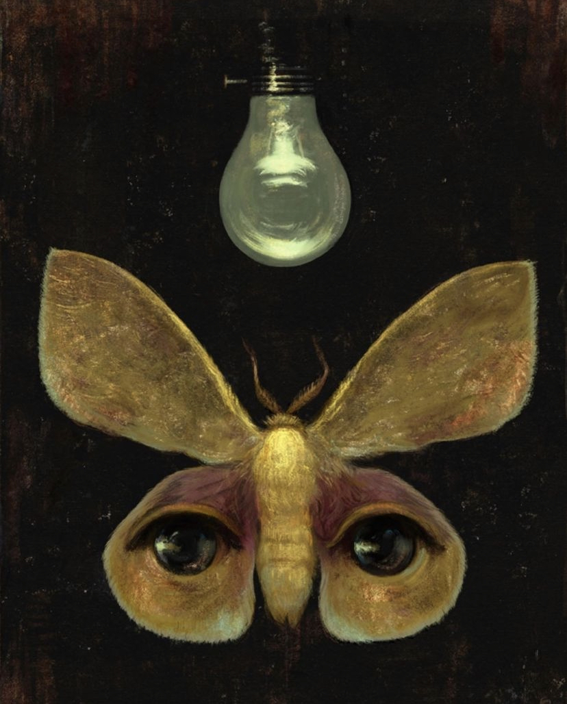 L’attivismo ha bisogno di immaginari nuovi – Conversazione con Giusi Palomba