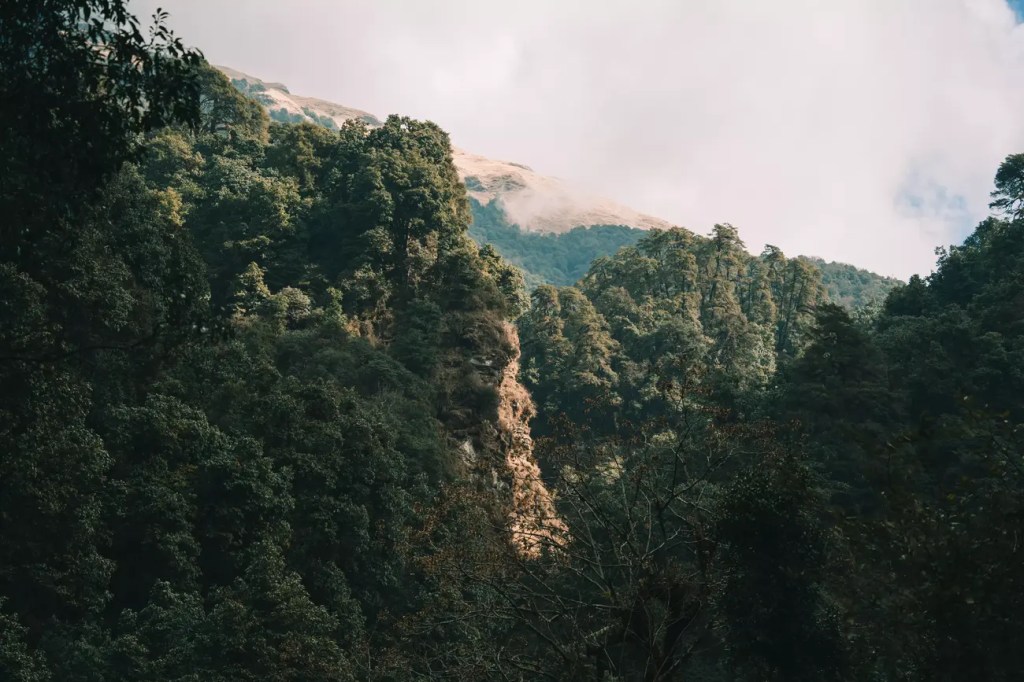 Oltre le nozioni di spazio e tempo – Passeggiata sull’Himalaya, Jamaica&nbsp;Kincaid