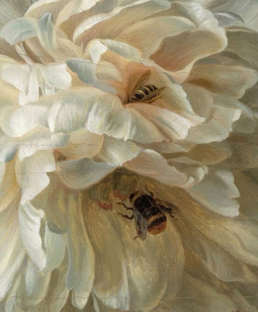 Lingua Madri – Una conversazione con Daphne&nbsp;Grieco