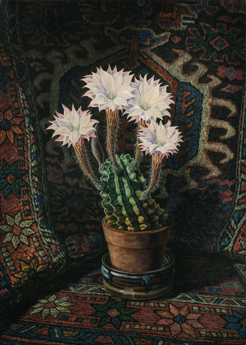 Il confine tra scomparire e restare – Giulia Bocchio e Gianni Montieri